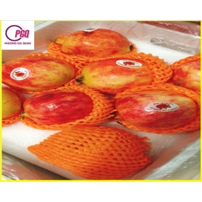 MÚT XỐP PE LƯỚI