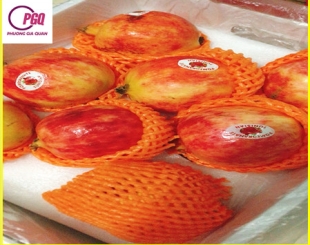 MÚT XỐP PE LƯỚI