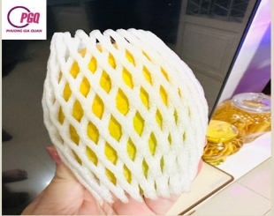 MÚT XỐP PE LƯỚI